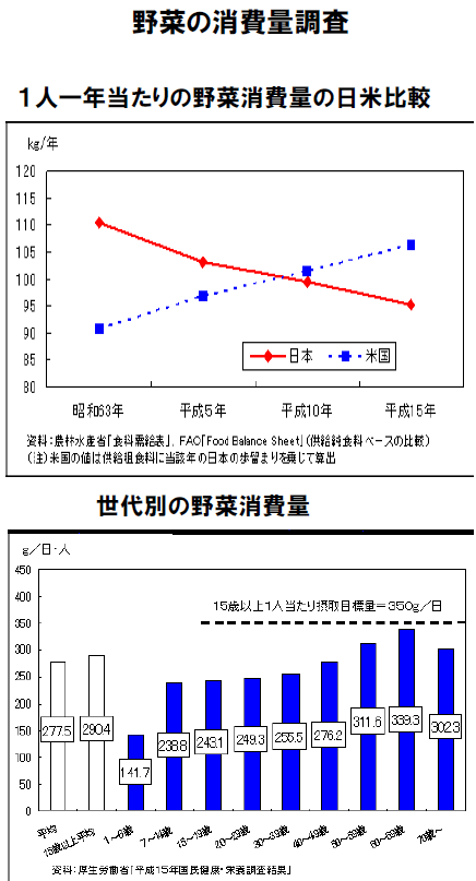 野菜の消費量調査