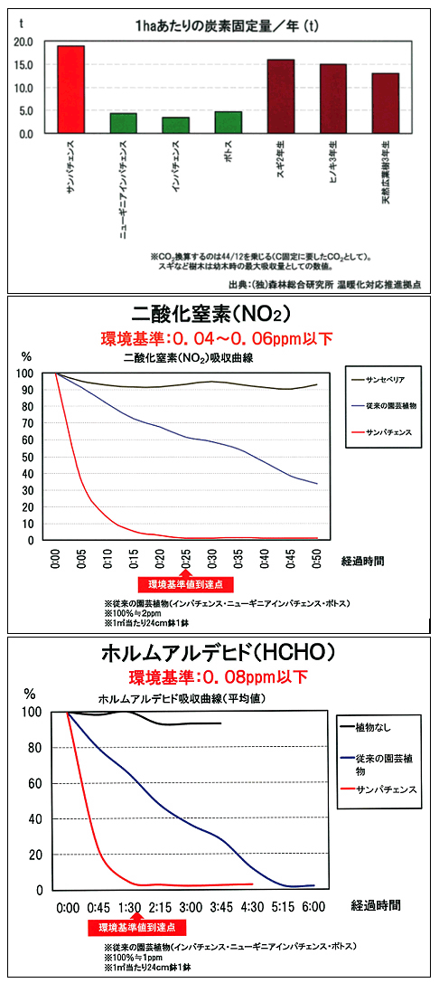 サカタのタネ表