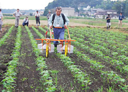 ほ場での散布実演