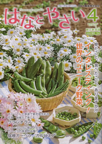 「はなとやさい」４月号