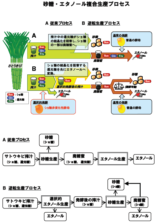 砂糖・エタノール複合生産プロセス