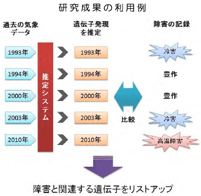 研究成果の利用例