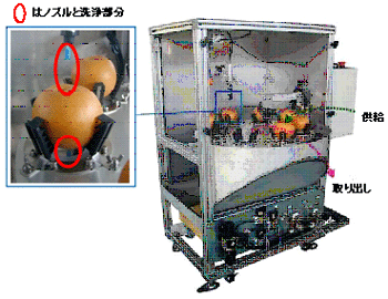 開発された連続搬送式果実洗浄機