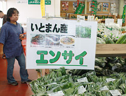 島野菜など珍しい野菜も魅力だ