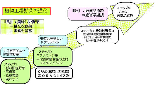 野菜工房の大山社長は、植物工場の進化には４つのステップがあるという。そしてステップ２までがビジネスの世界で、３以降は当面、研究機関の仕事と考えている。