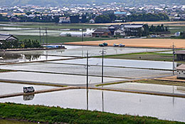 春の農繁期のＪＡ斐川町管内の様子