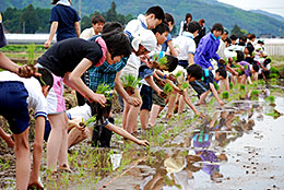 都市農村交流にも力を入れる（新宿区の小学生が田植え）