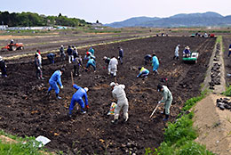 ＪＡ職員による圃場復旧