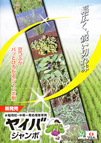 水稲用初・中期一発処理除草剤「ヤイバジャンボ」