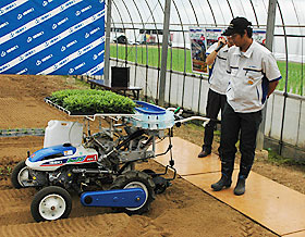 圃場ではキク移植機の実演も