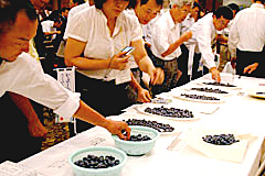 日本発の登録品種ブルーベリー「おおつぶ星」。収穫日によってちがう食味を食べ比べ。