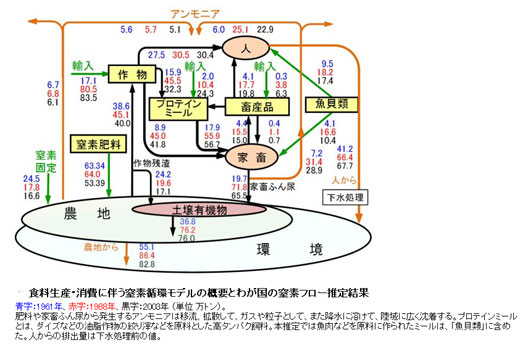 食料生産・消費に伴う窒素循環モデルの概要とわが国の窒素フロー推定結果