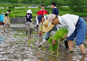 田んぼアートに向けた田植えの準備