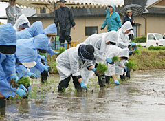 昨年５月にＪＡいわて花巻で行われた田植え交流の様子