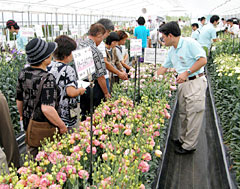 来場者で賑わうハウス内