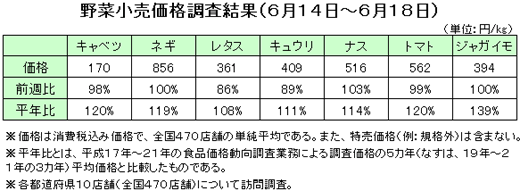 野菜小売価格調査結果（６月14日〜18日）