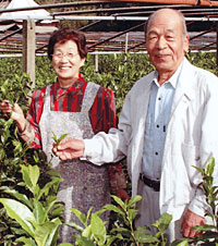 茶栽培の名人、立石安範さん（右）