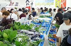 豊富な種類の地元産野菜が並ぶ