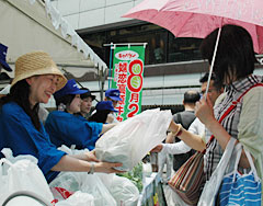 配られた大きな嬬恋村産のキャベツ