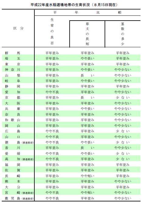 平成22年産水稲遅場地帯の生育状況