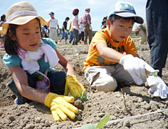 楽しみながら農作業する子どもたち