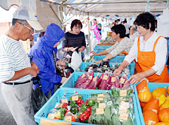 地元の新鮮野菜の販売ブース