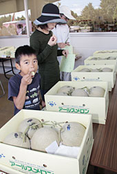 試食審査する一般来場者　丘陵地区）