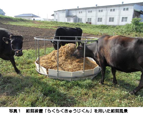 給餌装置「らくらくきゅうじくん」を用いた給餌風景