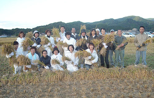 「はぐくみ鶏」産地で飼料用米の稲刈り