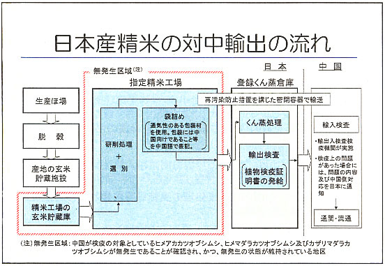 日本産精米の対中輸出の流れ