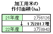 加工用米の作付面積（ha）