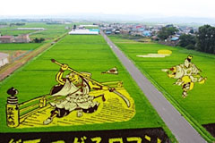 総務大臣賞・青森県田舎館村の「田んぼアート」（稲作体験ツアー）