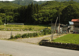 道の左側は津波被害をうけた水田、右側は津波に襲われずに田植えが行われている