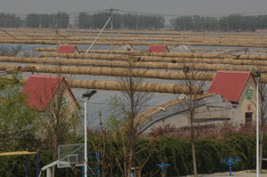 三元朱村の野菜栽培はこうした冬暖式大型ハウスで行われる