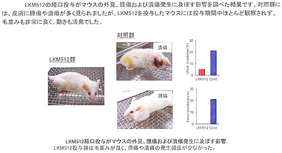 寿命が伸びるビフィズス菌の効果を発見　大腸の老化抑制と寿命の関係も証明