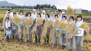 ＪＡいわて花巻で飼料用米の稲刈り