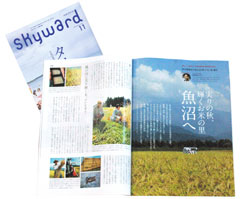 『skyward』11月号