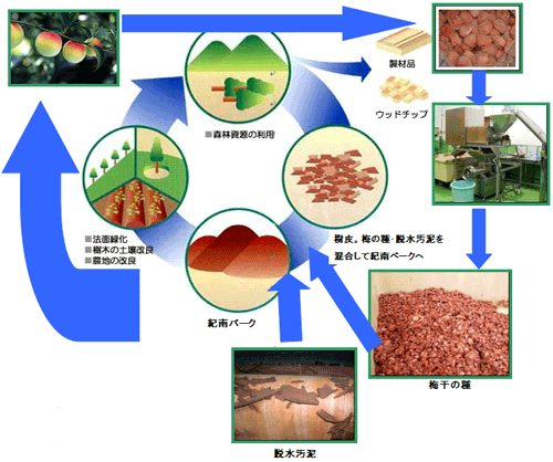 梅干し加工から堆肥化までの流れ
