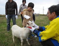 ヤギとのふれあいも