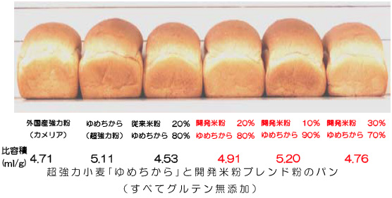 超経力小麦「ゆめちから」と開発米粉ブレンド粉のパン