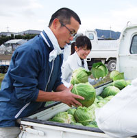 河南部長（左）と新入職員がキャベツ収穫