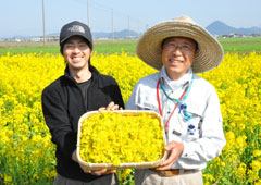 菜の花の生産者