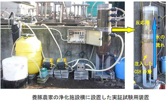 養豚農家の浄化施設横に設置した実証試験用装置