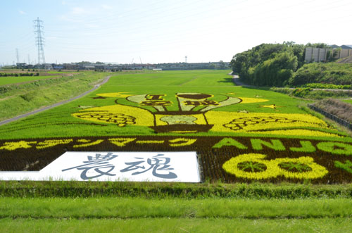 農業の魅力を発信したいと若手農家も参加する「田んぼアート」