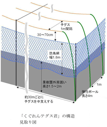 果樹園のカラス対策で新技術開発