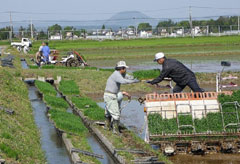 集落営農などの“協業”が農業構造変動の主役になっている（写真提供：ＪＡ加美よつば）