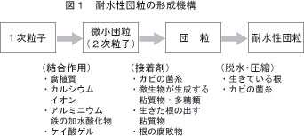 耐久性団粒の形成機構