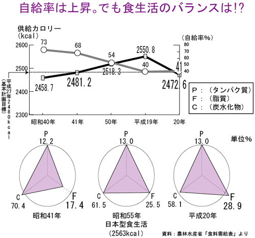 食料需給表