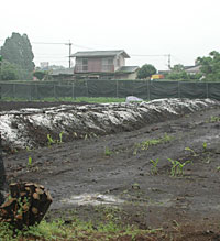 家畜の埋却が終了した農地