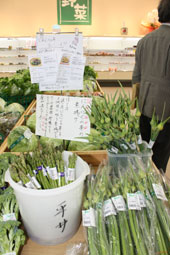 旬の野菜だが珍しいものには何枚もレシピが